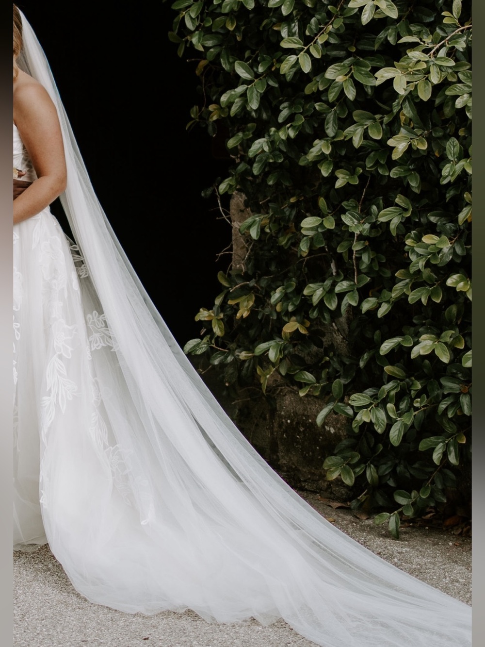 Simple Cathedral Length Veil - Picture 1 of 3